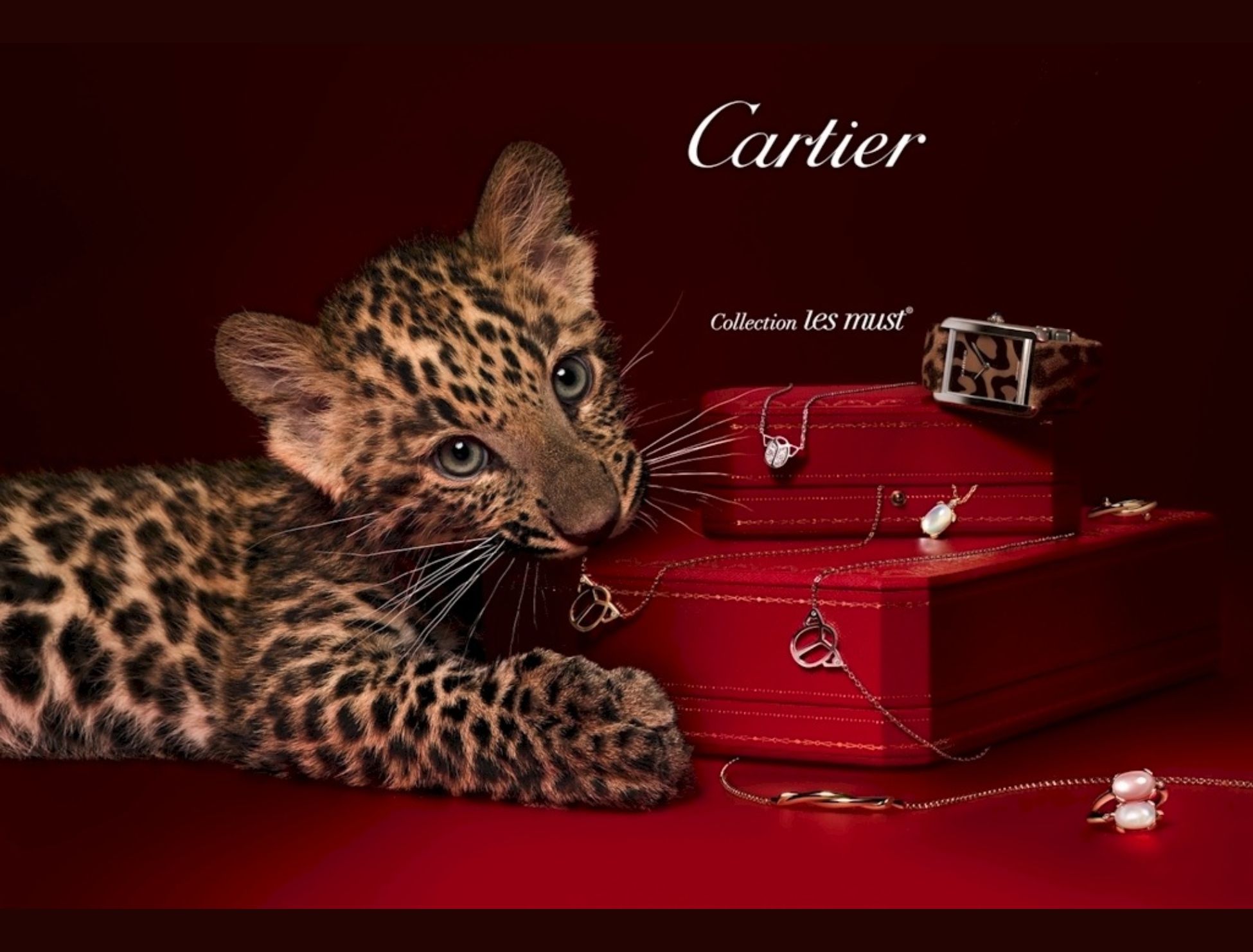 Lịch Sử Cartier: Tại Sao Hoàng Gia Và Người Nổi Tiếng Lại Say Mê Cartier Đến Vậy?